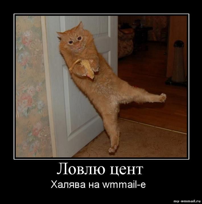 Демотиваторы на тему Wmmail