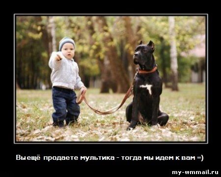 Демотиваторы на тему Wmmail
