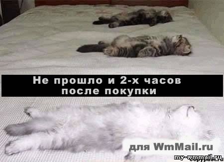 Демотиваторы на тему Wmmail