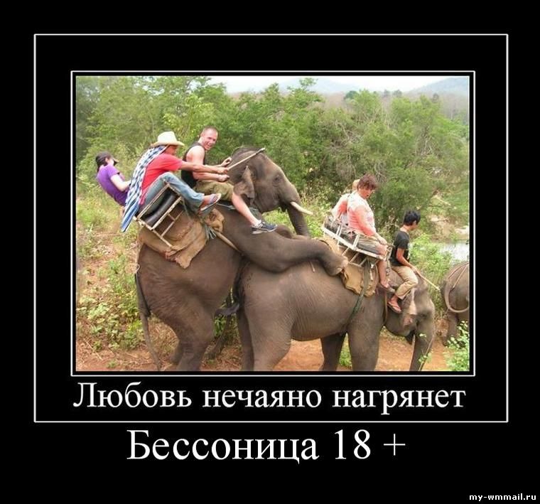 Демотиваторы на тему Wmmail