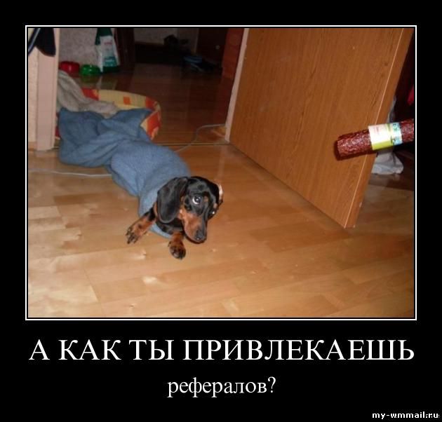 Демотиваторы на тему Wmmail