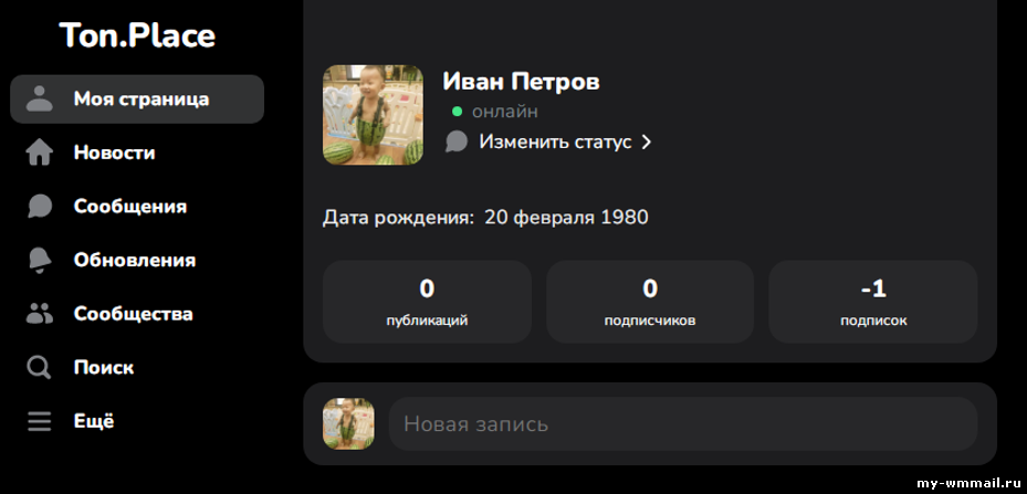 Обзор профиля TON Place