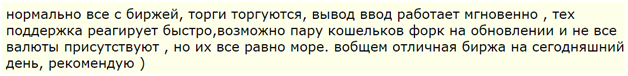 Биржа и кошелек для криптовалют YoBit